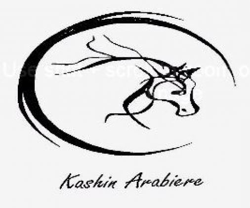 gallery/kashin arabiere