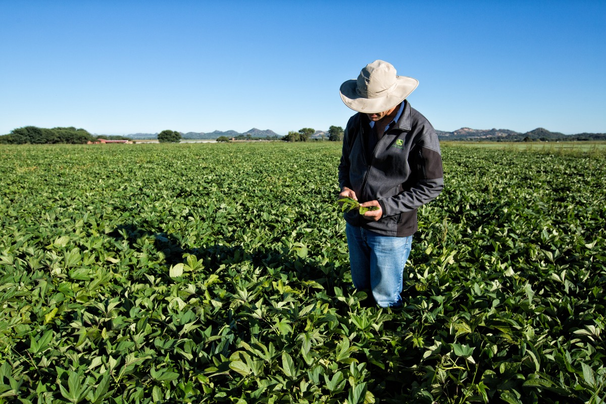 gallery/freddie ver in land