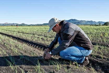 gallery/Freddie naby in land