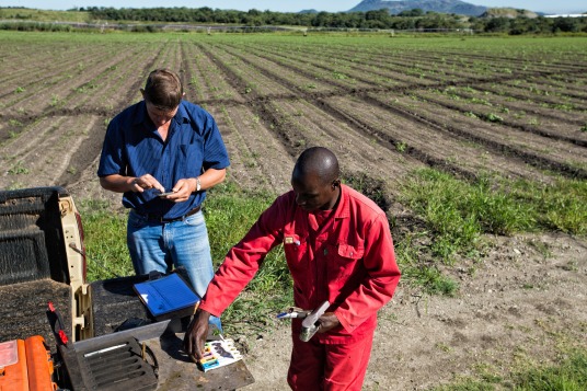 gallery/freddie en alfred